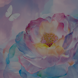 Blooming Universe : Big Flower